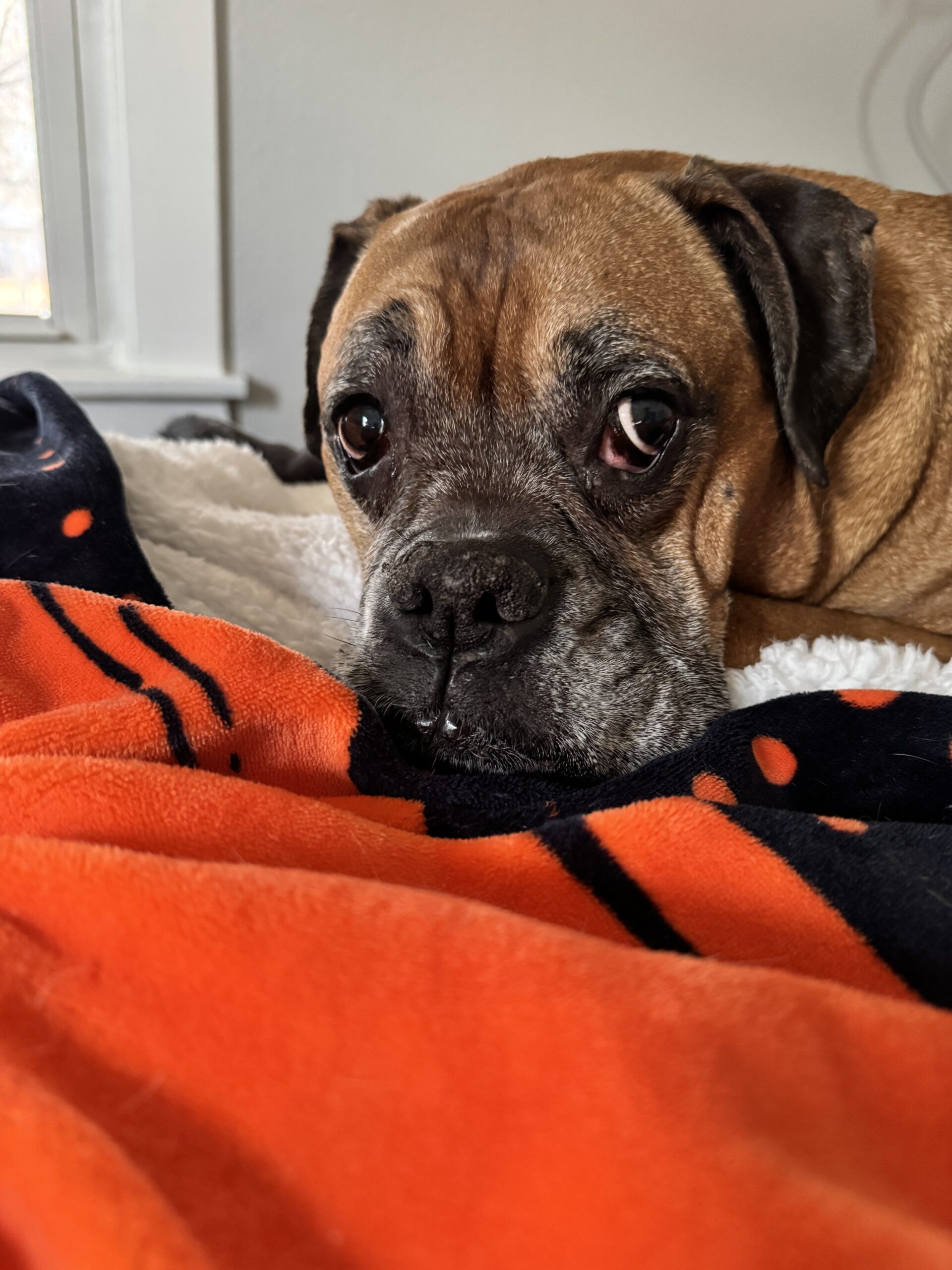 When Life Hits Pause: A Personal Note from Jen